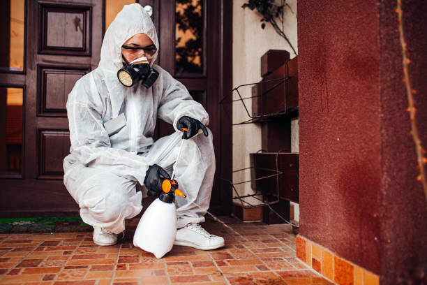 Attic and Crawl Space Rodent Treatment in Taylors Falls