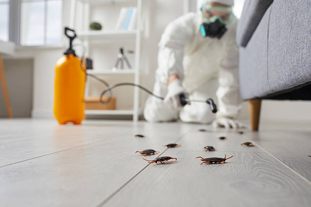 Commercial Rodent Management in Taylors Falls